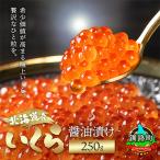 ふるさと納税 釧路町 いくら醤油漬け 250g ×1個 <北海道産の鮭卵>