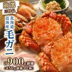 ふるさと納税 八雲町 【厳選三特品】北海道近海産毛ガニ 450g前後×2尾 海鮮 北海道 八雲町