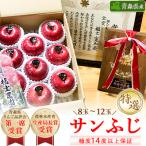 ふるさと納税 青森市 「サンふじ」3kg・糖度14度以上保証・特選贈答用りんご 青森市長賞受賞
