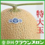 ショッピングふるさと納税 メロン ふるさと納税 袋井市 【通年出荷】クラウンメロン(白等級)特大玉　1玉　