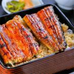 ふるさと納税 四万十町 うなぎ蒲焼き90g×2本セット