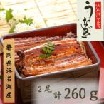ふるさと納税 浜松市 静岡県浜名湖産　うなぎ蒲焼き×2本(計260g)