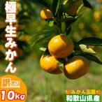 ふるさと納税 海南市 【訳あり】 和歌山極早生みかん 10kg 混合サイズ まごころ産直みかんより、和歌山県から産地直送!