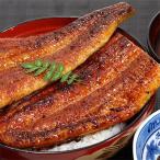 有田市 ふるさと納税 特大サイズ国産うなぎ蒲焼2本セット(1