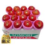 ふるさと納税 南部町 【2026年1月発送開始】青森りんご　サンふじ　大玉　10kg【さとふる限定】