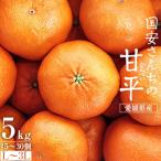 ふるさと納税 八幡浜市 国安さんちの甘平(かんぺい)5kg【D20-5】