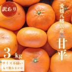 ショッピング甘平 ふるさと納税 八幡浜市 ＼ 愛媛が誇る 高級みかん 希少品種 / 訳あり 甘平 (かんぺい) 3kg【D20-17】