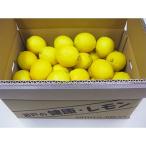 ふるさと納税 三豊市 三豊市産　瀬戸内レモン約5kg(30〜50個前後)