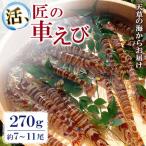 ふるさと納税 上天草市 先行予約! 期間限定! 【上天草ブランド認証品】 活、匠の車えび 270g約7〜11尾 【丸山えび】