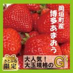 ふるさと納税 岡垣町 先行受付【さとふる限定】遠賀郡岡垣町産「博多あまおう G」270g×4パック