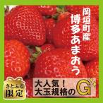 ショッピングふるさと納税 いちご ふるさと納税 岡垣町 先行受付【さとふる限定】遠賀郡岡垣町産「博多あまおう　G」270g×4パック