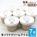 ふるさと納税 根羽村 着色料・香料不使用!優しいくちどけ。生ソフトクリームアイス(80ml)×7個