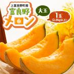ふるさと納税 上富良野町 富良野メロン 大玉 1玉