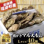 ふるさと納税 厚岸町 【さとふる限定】厚岸産マルえもんLサイズ　40個セット