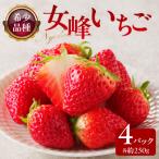 ふるさと納税 高松市 希少品種 女峰いちご4パック(各約250g)