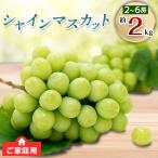 ふるさと納税 高松市 【先行受付2026年】ご家庭用シャインマスカット　約2kg