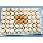 fu.... налог Fuji река блок первый Tama . premium подсолнух Tama .S размер 54 шт ( поломка яйцо возмещение 10 шт .)