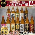 ふるさと納税 都城市 【さとふる限定】【宮崎県 都城市】藏元自慢の代表銘柄焼酎12種 900ml瓶×12本飲み比べセット
