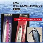 ふるさと納税 綾部市 綾部市ふるさと納税 ルアーWILD GAMBLERメタルジグ2本セット!
