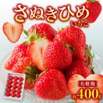 ふるさと納税 高松市 さぬきひめいちご化粧箱 約400g