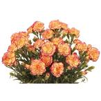 ふるさと納税 藤枝市 母の日に!カーネーション鉢植え「パフェ」カゴ入り