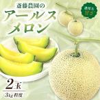 ふるさと納税 御坊市 斎藤農園のアールスメロン(マスクメロン) 2玉(計3kg程度)≪先行受付分≫