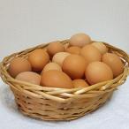 fu.... налог .. блок Hiroshima префектура .. блок производство .. Chan дом. Tama .80 шт 