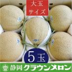 クラウンメロン 白等級 大玉 5玉入り