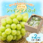 ふるさと納税 美作市 岡山県美作市産　シャインマスカット　2kg(3〜5房)