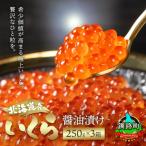 ふるさと納税 釧路町 いくら醤油漬け 250g ×3個セット <北海道産の鮭卵>