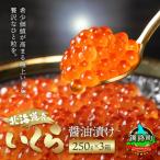 ショッピングふるさと納税 いくら ふるさと納税 釧路町 いくら醤油漬け 250g ×3個セット ＜北海道産の鮭卵＞【さとふる限定】