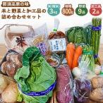 ふるさと納税 那須塩原市 米と野菜と加工品の詰め合わせセット