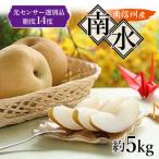 ふるさと納税 飯田市 【南信州産】 南水 約5kg 光センサー選別品糖度14度