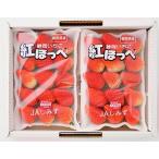 ふるさと納税 静岡市 静岡市清水区産 ほっぺたが落ちる『紅ほっぺ』 260g(8〜15粒)×2パックセット