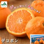 ふるさと納税 今治市 【先行予約】デコポン 3L〜L 18〜24玉 不知火 国産 柑橘 KB02510