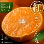 ふるさと納税 今治市 【C62】【先行受付】紅まどんな(化粧箱入)3L〜L 10〜15玉 11月中旬〜12月中旬にお届け