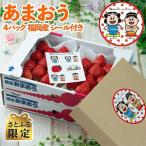 さとふる かすがくん&あすかちゃんシール付あまおう苺春4パ…