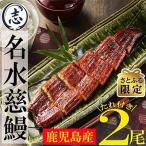 ふるさと納税 志布志市 【さとふる限定】鹿児島県産うなぎ蒲焼 2尾(合計280g〜320g)