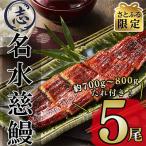 ショッピングうなぎ ふるさと納税 志布志市 【さとふる限定】鹿児島県産うなぎ蒲焼名水慈鰻5尾(合計700g~800g)