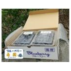 fu.... налог город Oyama [ предшествующий прием ] голубика сырой .280g x 4 упаковка [ крупный *..](6~8 месяц отгрузка )