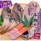 ふるさと納税 白糠町 季節の干物セット【5種類 計10枚】