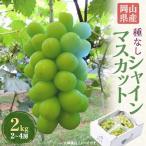 ショッピングふるさと納税 シャインマスカット ふるさと納税 美作市 岡山県産シャインマスカット2kg(2〜4房)