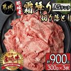ふるさと納税 都城市 都城産宮崎牛　A5ランク霜降り切り落とし(300g)×3パック