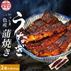 ふるさと納税 西尾市 【入金から4ヶ月以内で発送予定】一色産うなぎ職人手焼き蒲焼 180g×2尾　U006