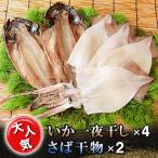 ふるさと納税 いすみ市 海の直売所アルファ 大人気!いか一夜干し・さば干物セット