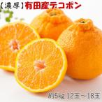 ふるさと納税 湯浅町 【お味濃厚】紀州有田産の大玉デコポン約5kg(12玉〜18玉入り)(湯浅町)