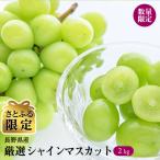 ふるさと納税 長野県 【さとふる限定】【数量限定】2kg箱 厳選シャインマスカット 長野県産