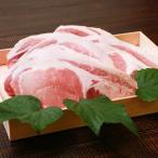 ふるさと納税 関川村 越後もち豚ロース肉(とんかつ用)1kg