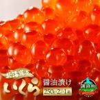 ふるさと納税 釧路町 いくら醤油漬け <250g×2パック 500g>×1箱 北海道産の鮭卵