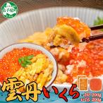 ショッピングいくら ふるさと納税 弟子屈町 ウニ 200g & いくら醤油漬け 200g 海鮮丼 北海道 弟子屈町 1725